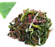 將圖片載入圖庫檢視器 14종 완도 해초 샐러드 1.0KG 14 kinds of Seaweed for Salad
