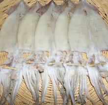 이미지를 갤러리 뷰어에 로드 , (냉동) 동해안 영덕 반건조 오징어 1.3kg 내외 10미 Semi-dried Squids 1.3kg (large)
