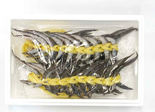 將圖片載入圖庫檢視器 속초 반건조 도루묵 알배기 20마리 Semi Dried Lance Fish
